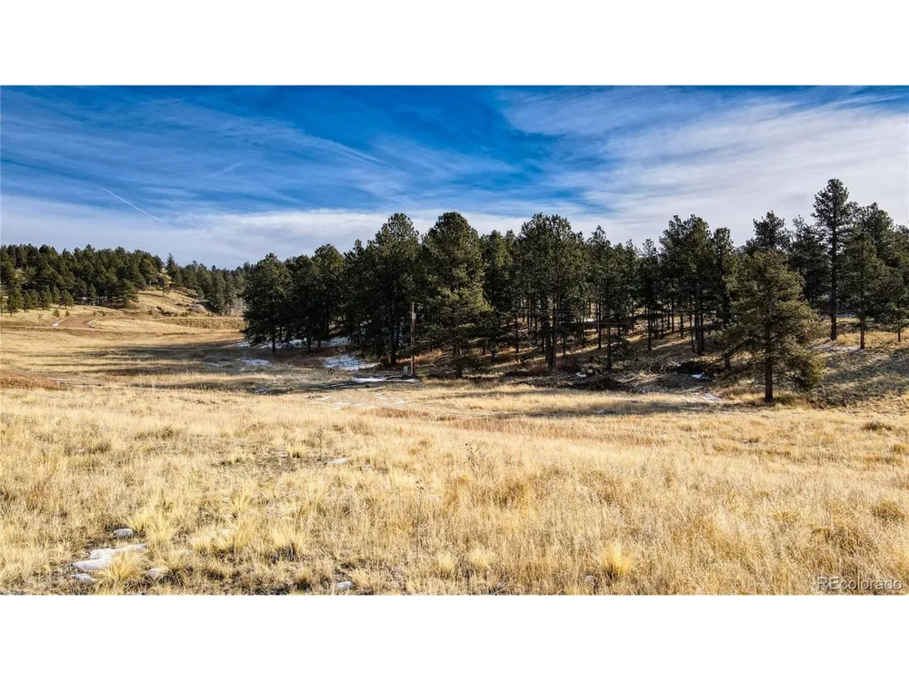 150 High Pasture Road Florissant, CO 80816