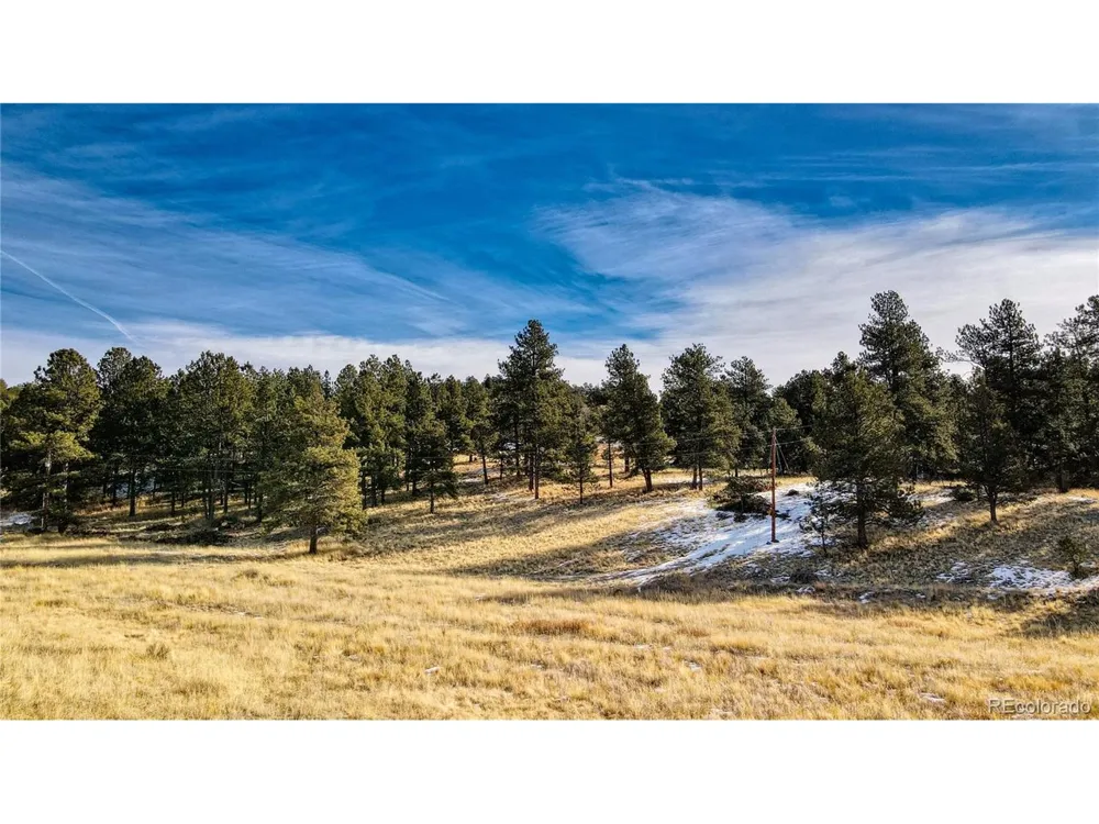 150 High Pasture Road Florissant, CO 80816