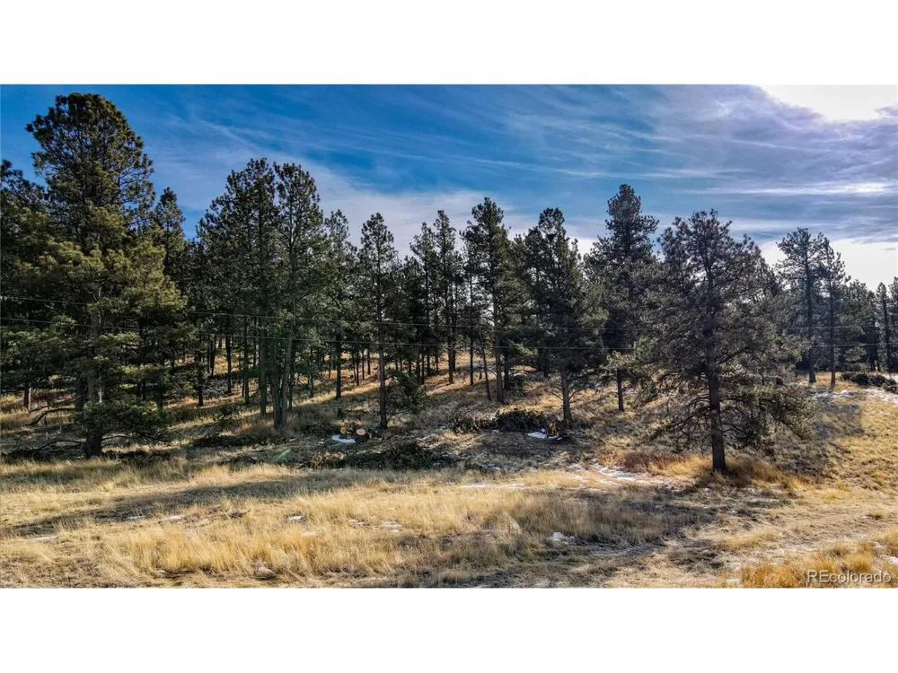 150 High Pasture Road Florissant, CO 80816