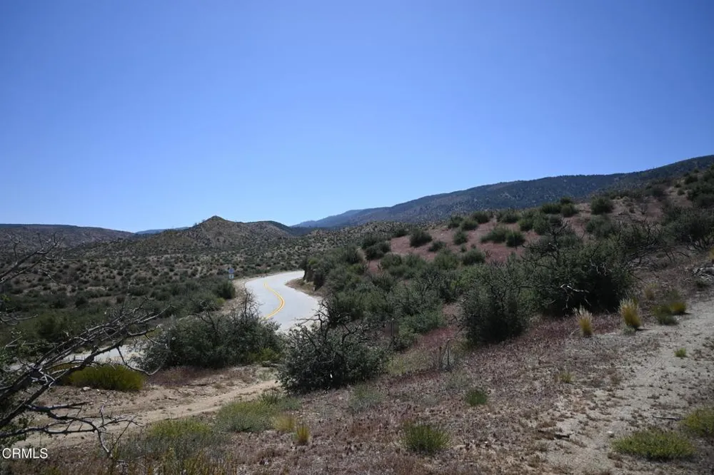 17610 Big Pines Highway Valyermo, CA 93563