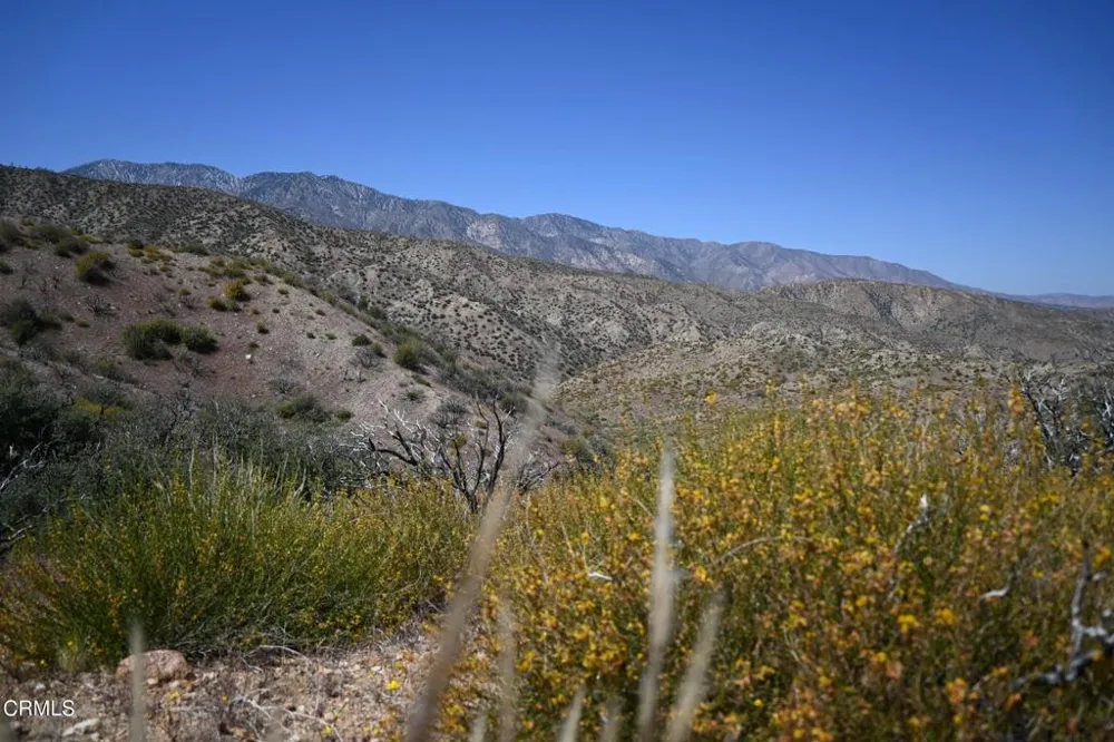 17610 Big Pines Highway Valyermo, CA 93563