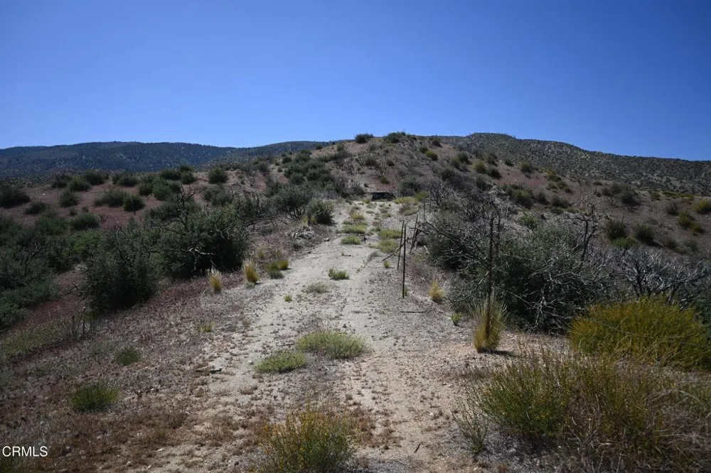 17610 Big Pines Highway Valyermo, CA 93563