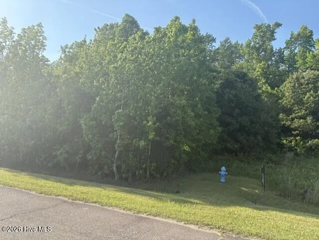 0 Treasure Pointe Drive Bath, NC 27808