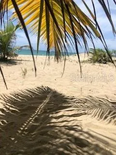 II LOS PARILLAS #3501 Loiza, PR 00772