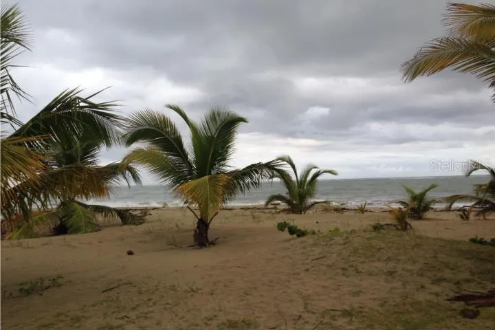 II LOS PARILLAS #3501 Loiza, PR 00772