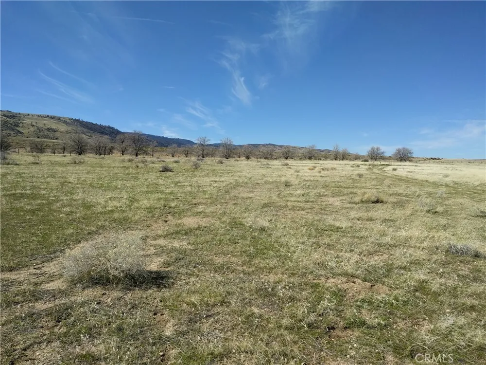 191 W Avenue F-14 Fairmont, CA 93536