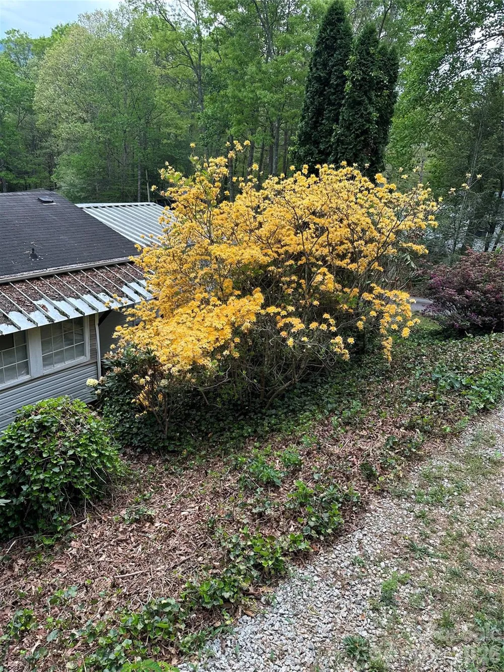 39 Lisa Court #11 Otto, NC 28763