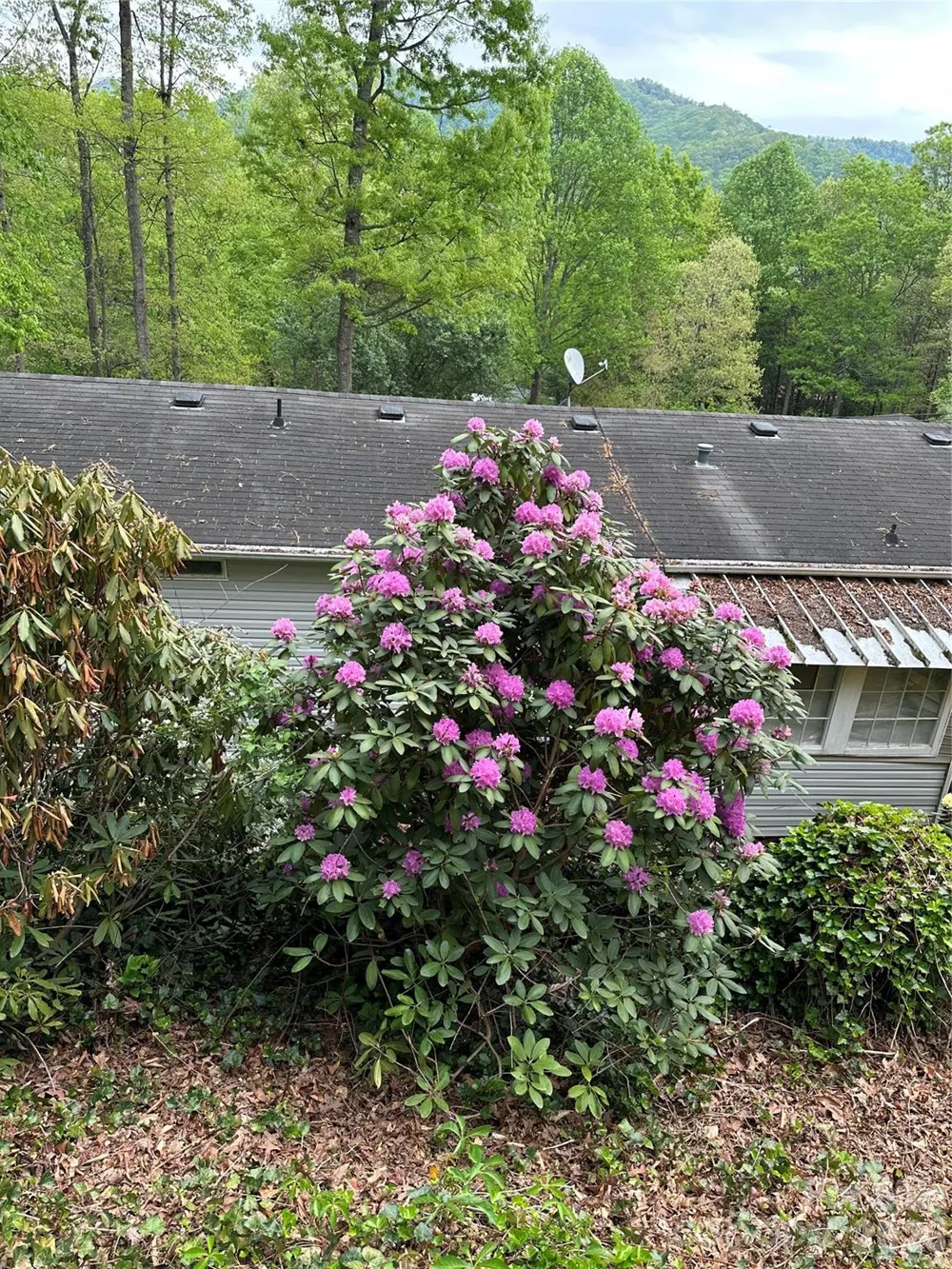 39 Lisa Court #11 Otto, NC 28763