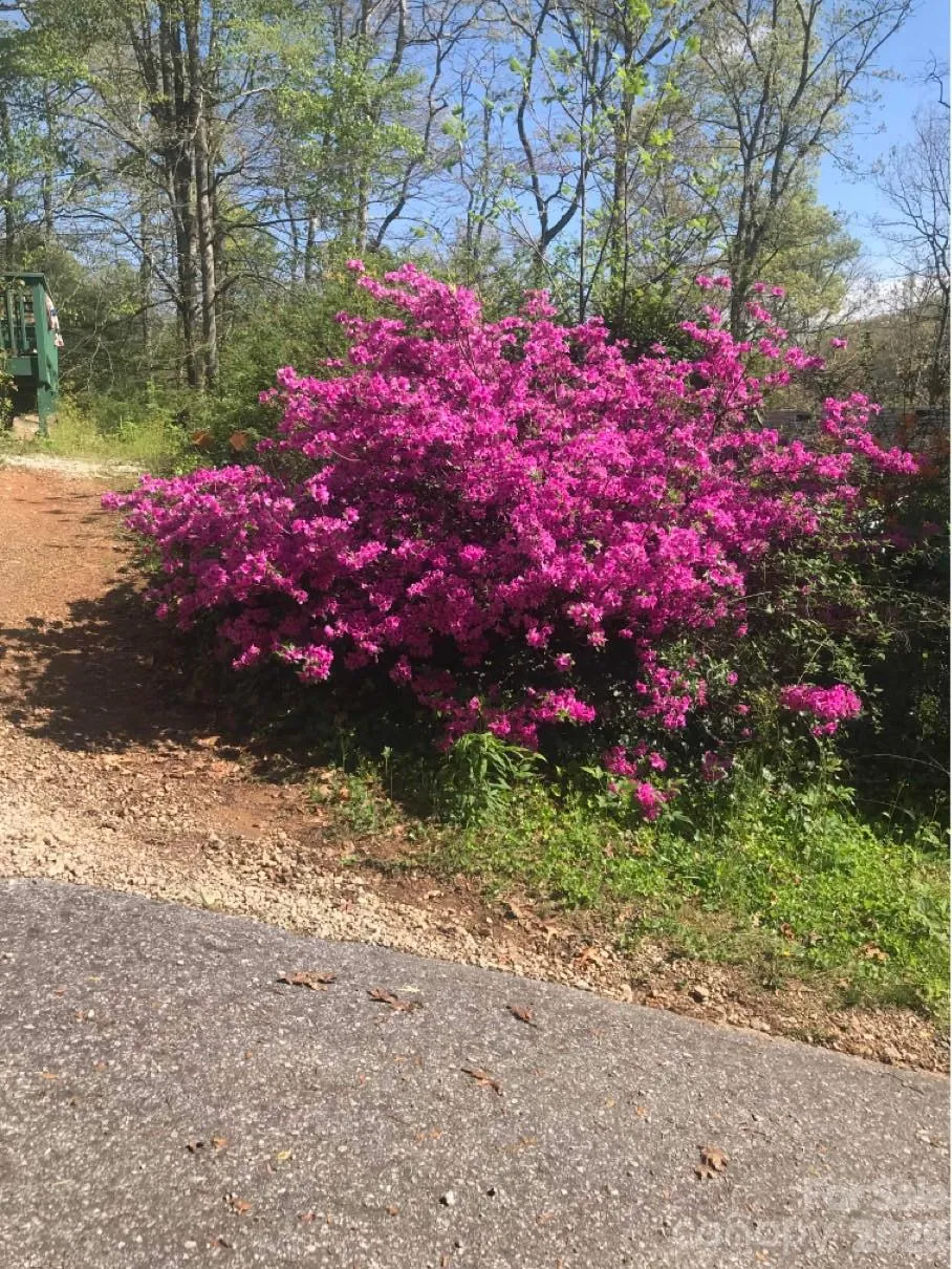 39 Lisa Court #11 Otto, NC 28763
