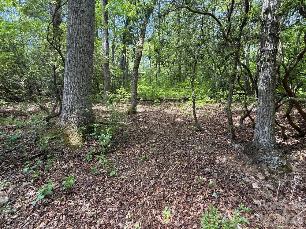 39 Lisa Court #11 Otto, NC 28763