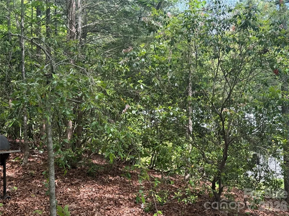 39 Lisa Court #11 Otto, NC 28763