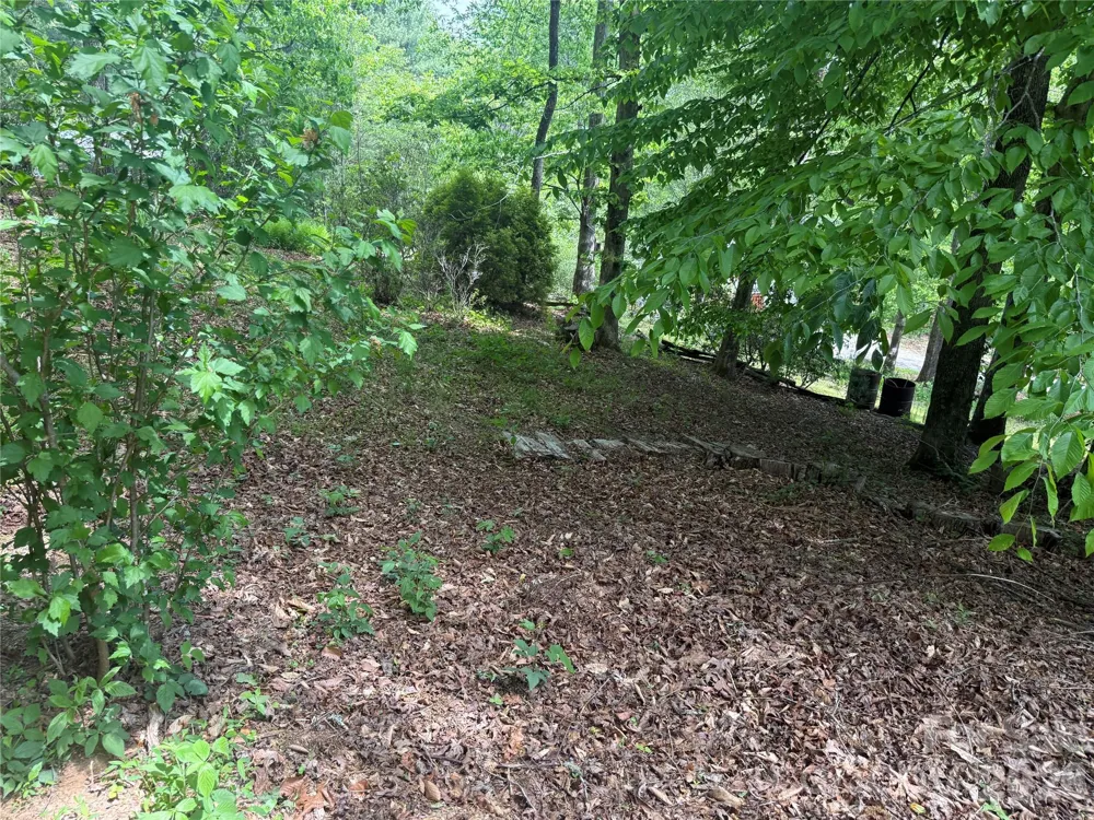 39 Lisa Court #11 Otto, NC 28763