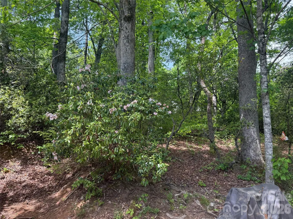 39 Lisa Court #11 Otto, NC 28763