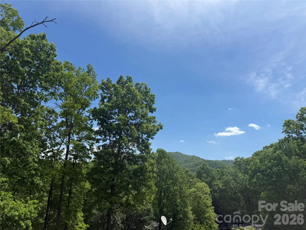 39 Lisa Court #11 Otto, NC 28763