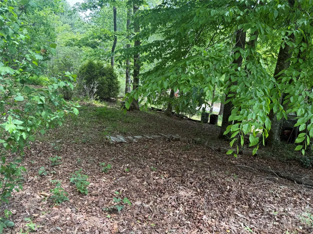 39 Lisa Court #11 Otto, NC 28763