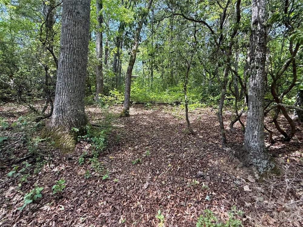 39 Lisa Court #11 Otto, NC 28763