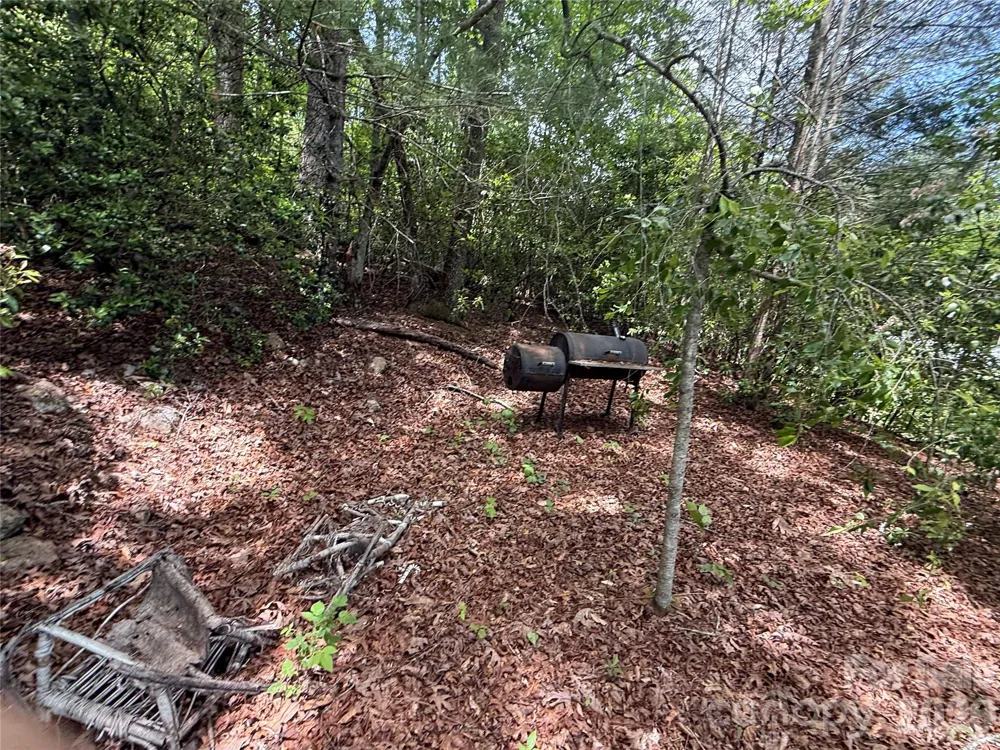 39 Lisa Court #11 Otto, NC 28763