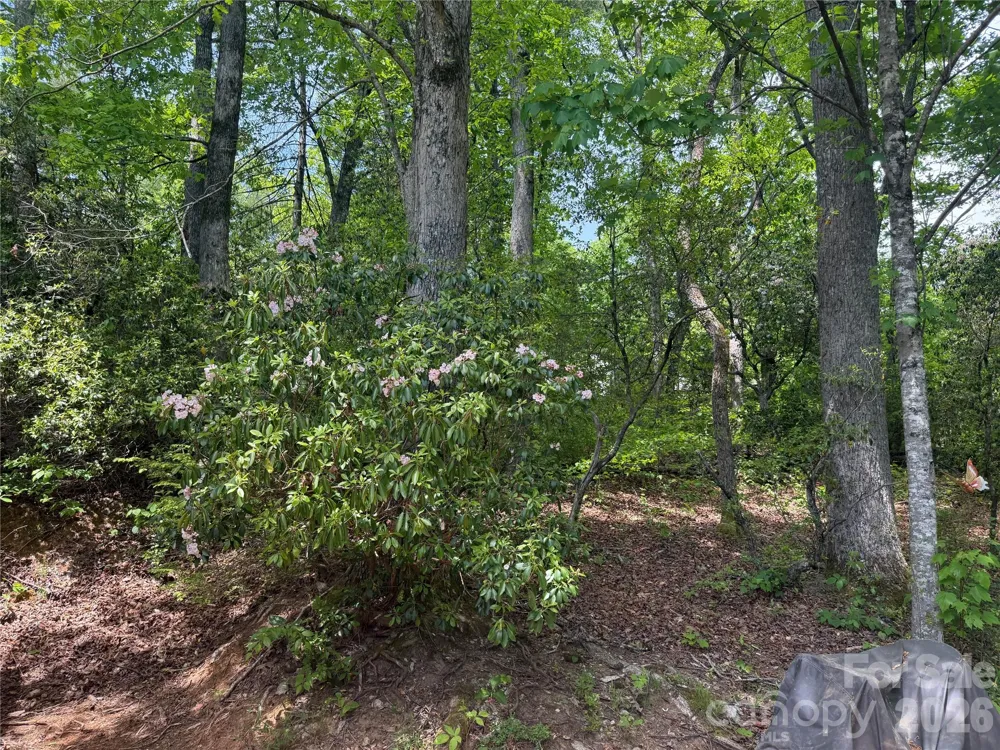 39 Lisa Court #11 Otto, NC 28763