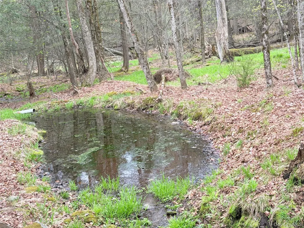 Muthig Road Fallsburg, NY 12733