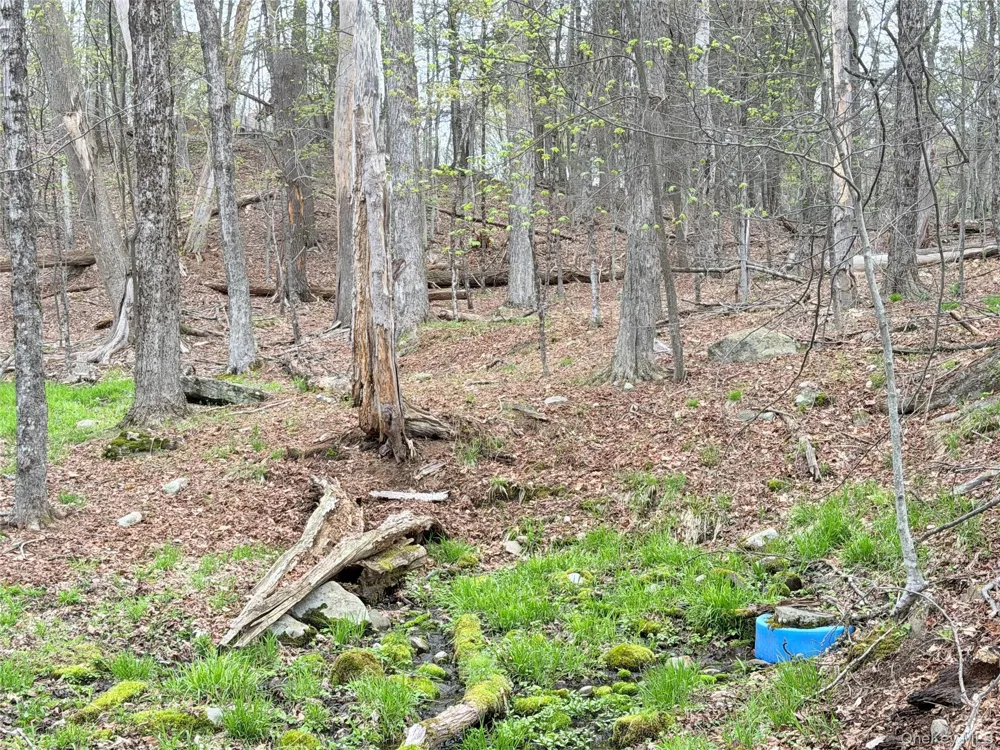 Muthig Road Fallsburg, NY 12733