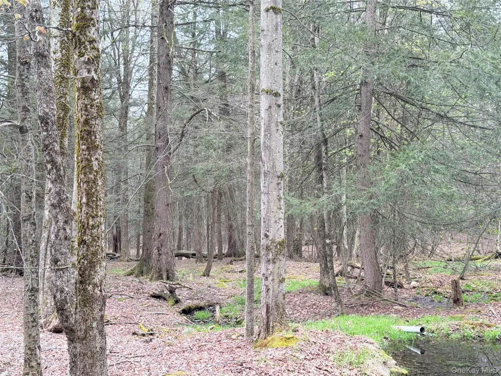 Muthig Road Fallsburg, NY 12733