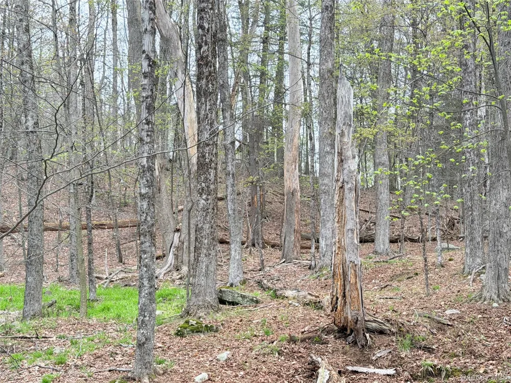 Muthig Road Fallsburg, NY 12733