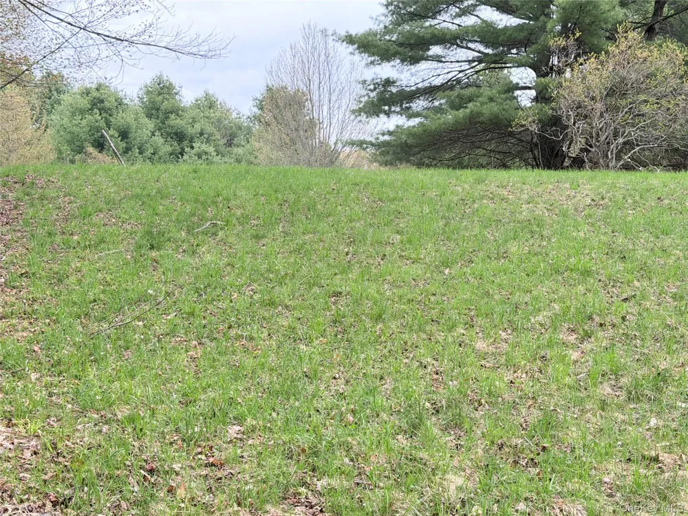 Muthig Road Fallsburg, NY 12733