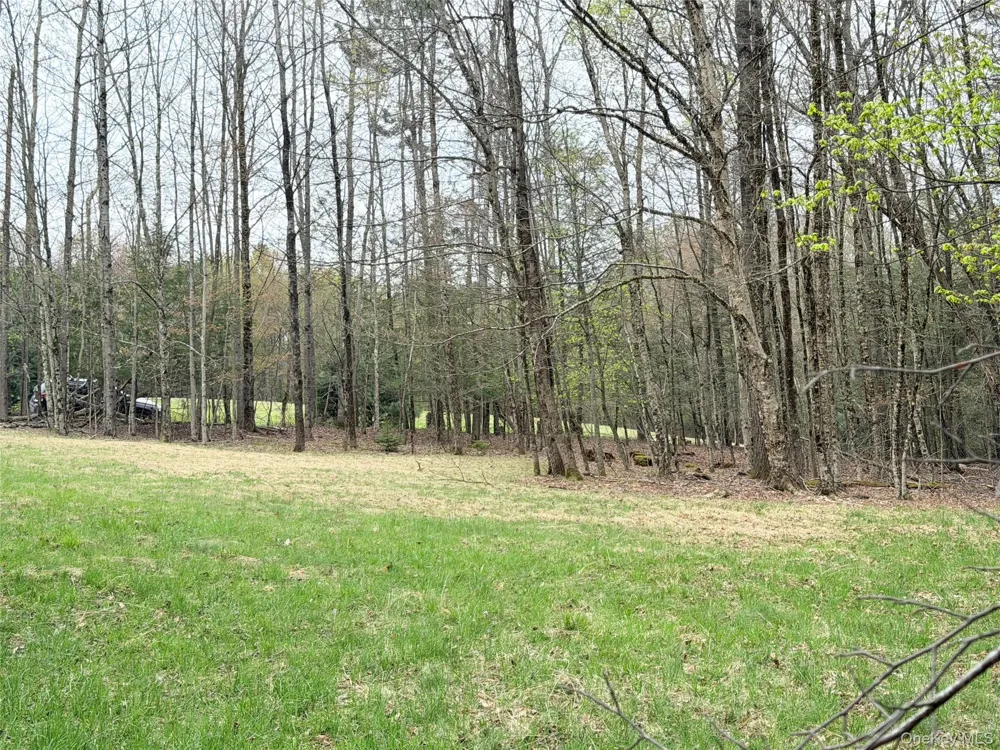 Muthig Road Fallsburg, NY 12733