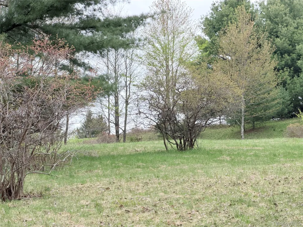 Muthig Road Fallsburg, NY 12733