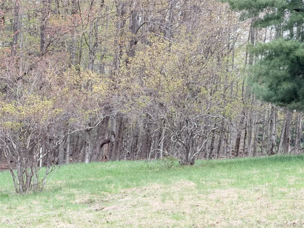 Muthig Road Fallsburg, NY 12733