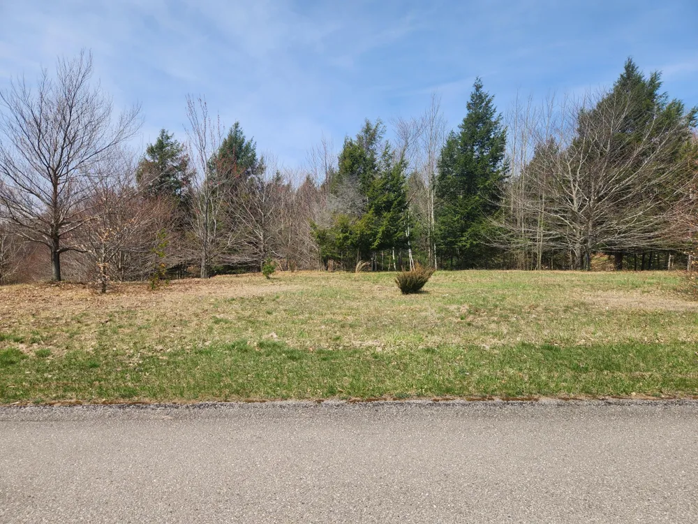 9954 Slope Drive #93 Onekama, MI 49675