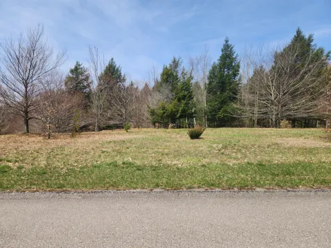 9954 Slope Drive #93