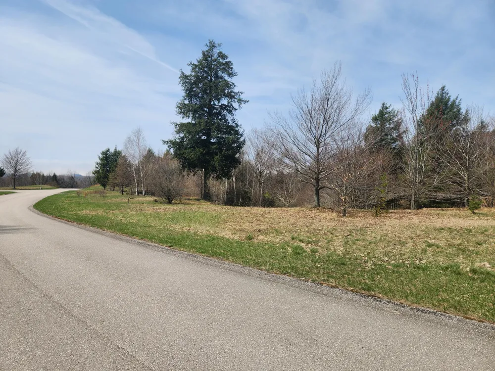 9954 Slope Drive #93 Onekama, MI 49675