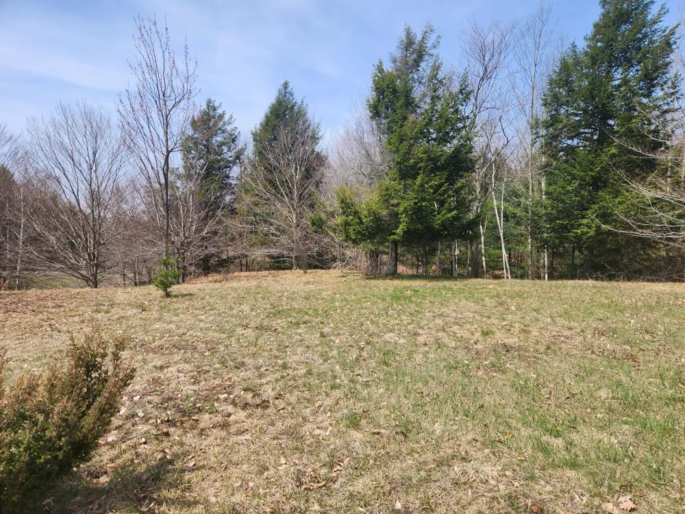 9954 Slope Drive #93 Onekama, MI 49675