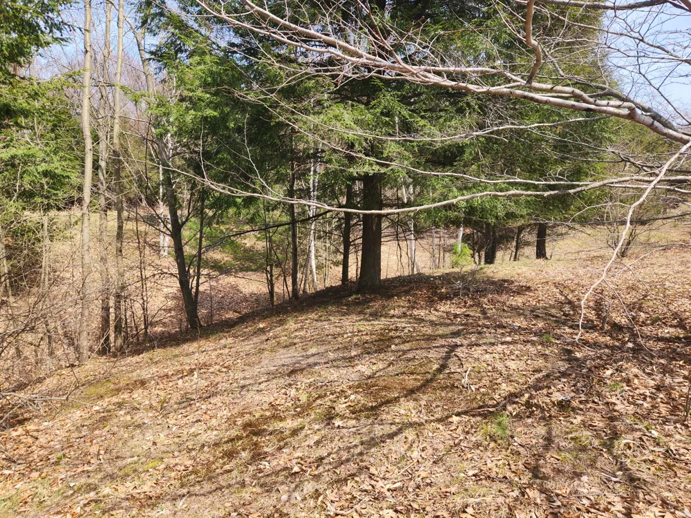 9954 Slope Drive #93 Onekama, MI 49675