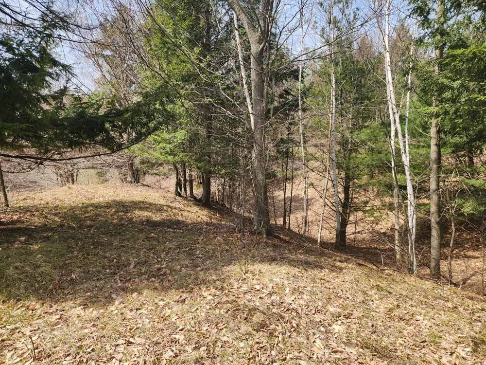 9954 Slope Drive #93 Onekama, MI 49675