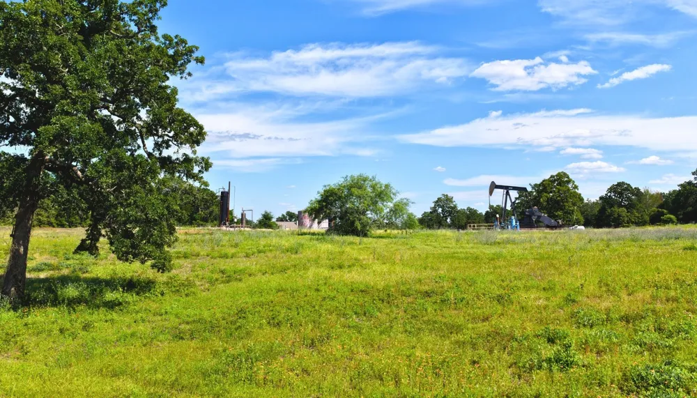 2 Green Hill Road (+/-10.2 acres) Caldwell, TX 77836