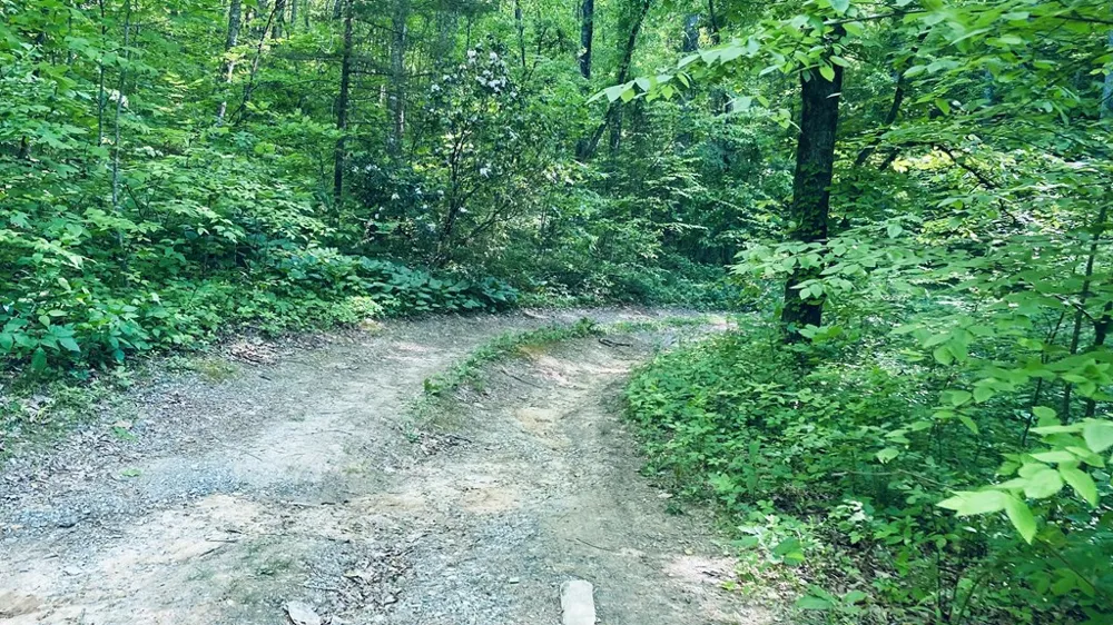 Cheek Circle Rd Sylva, NC 28779