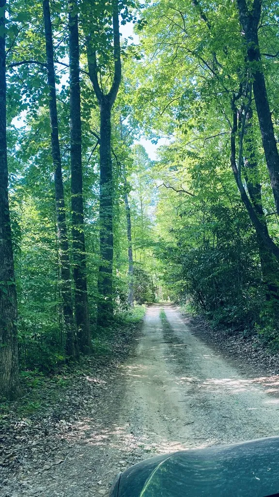 Cheek Circle Rd Sylva, NC 28779