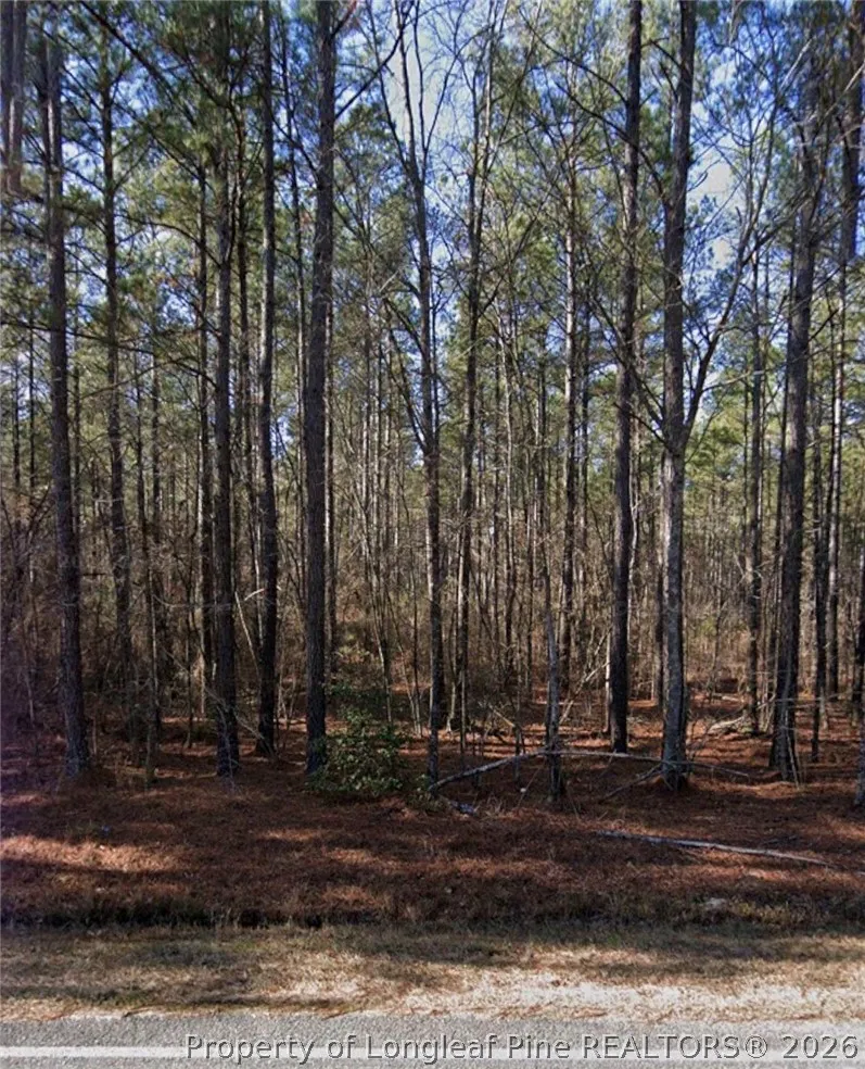 McBryde Street Linden, NC 28356