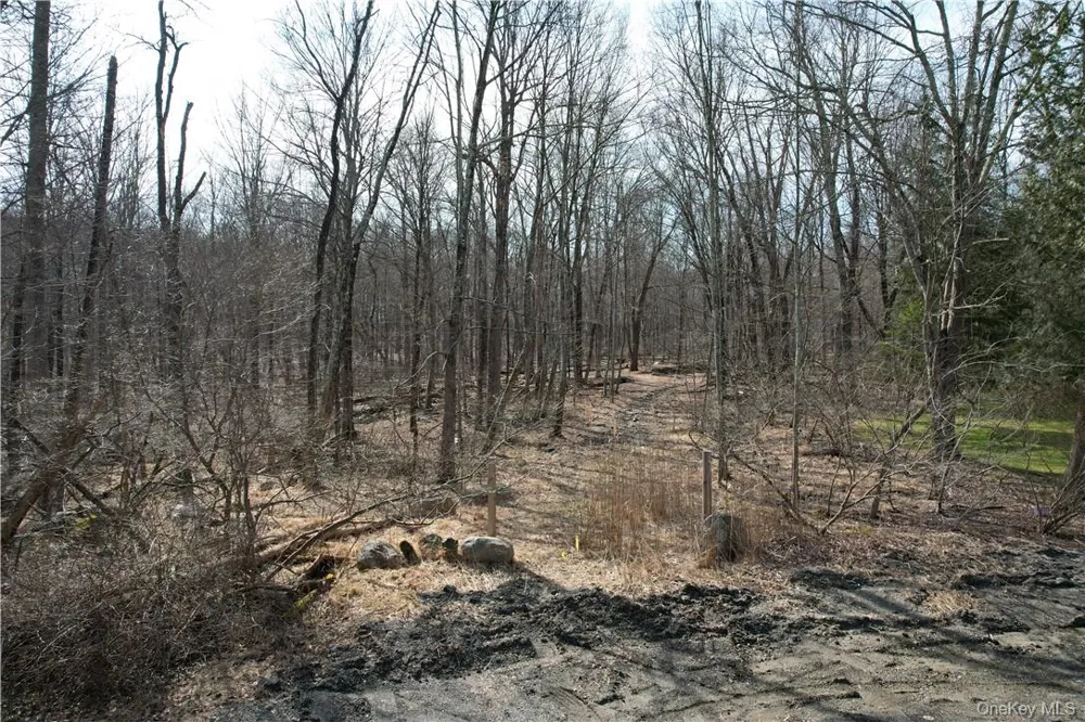 Owen Drive Mahopac, NY 10512