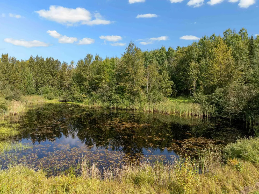 20634 County Road 530 Bovey, MN 55709