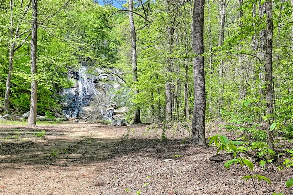 1103 Apple Pie Ridge Road Alto, GA 30510