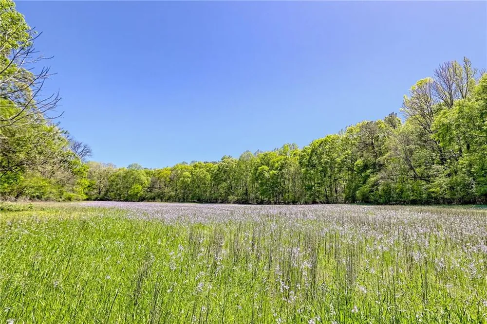 1103 Apple Pie Ridge Road Alto, GA 30510