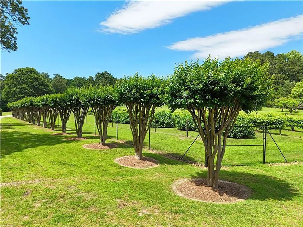 1103 Apple Pie Ridge Road Alto, GA 30510