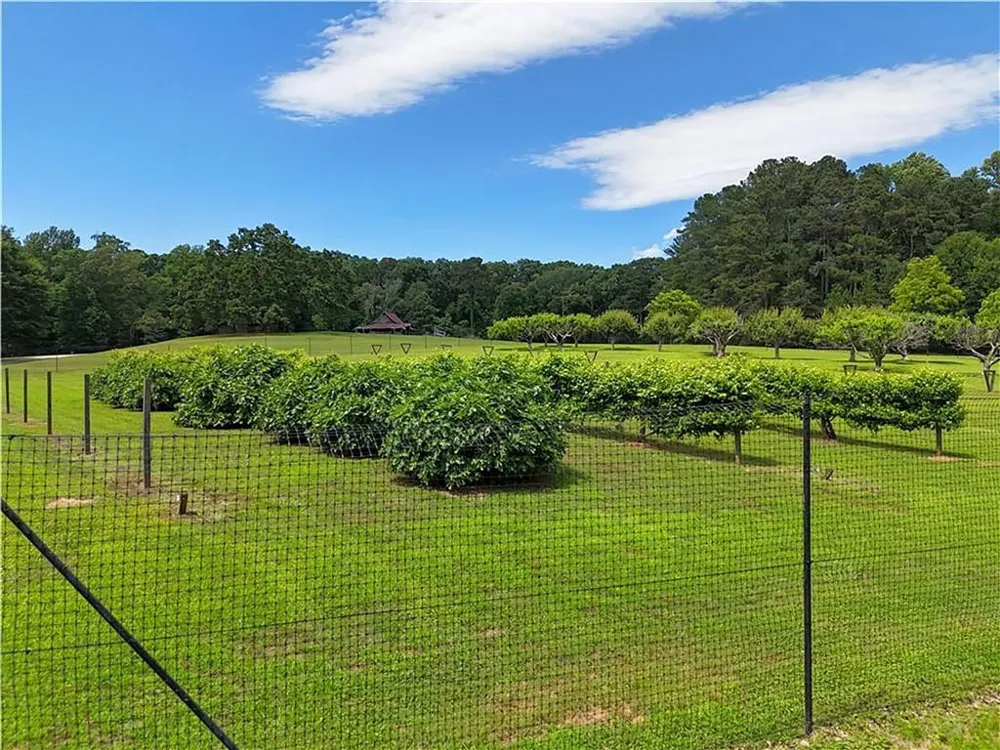 1103 Apple Pie Ridge Road Alto, GA 30510