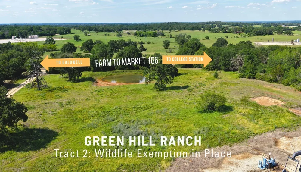 2 Green Hill Road -10 Acres Caldwell, TX 77836