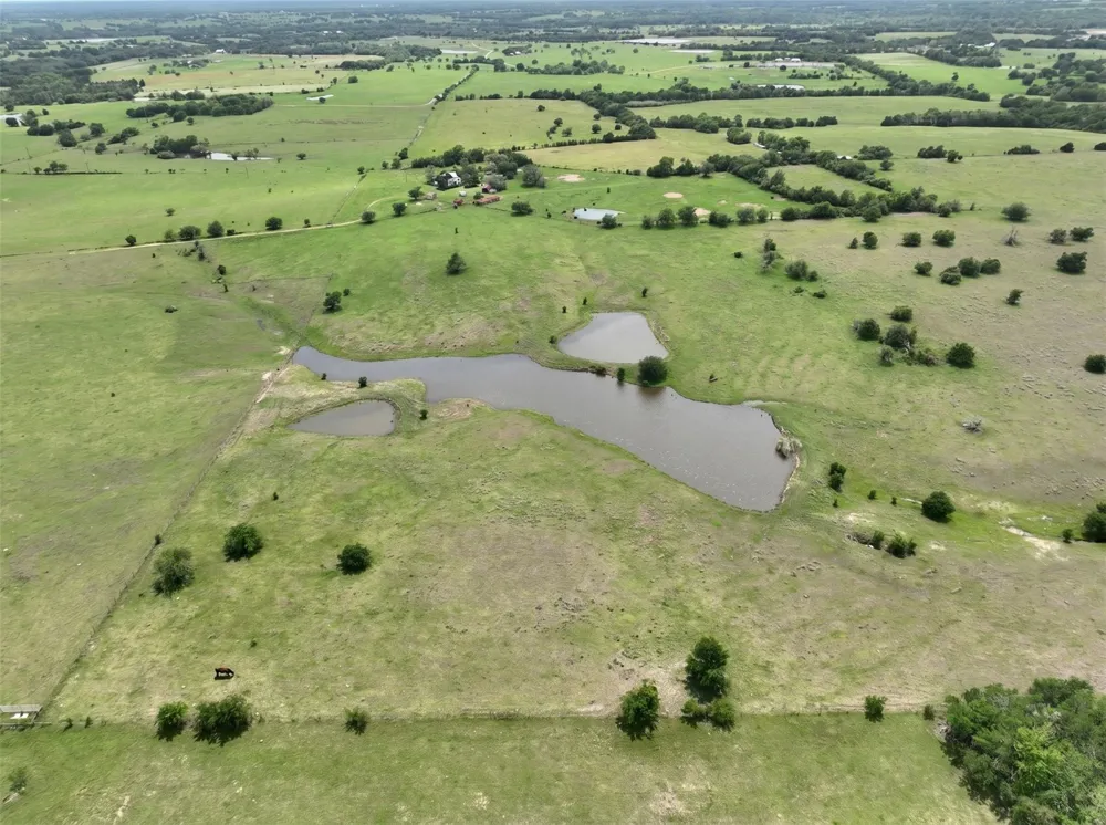4425 Franke Road New Ulm, TX 78950