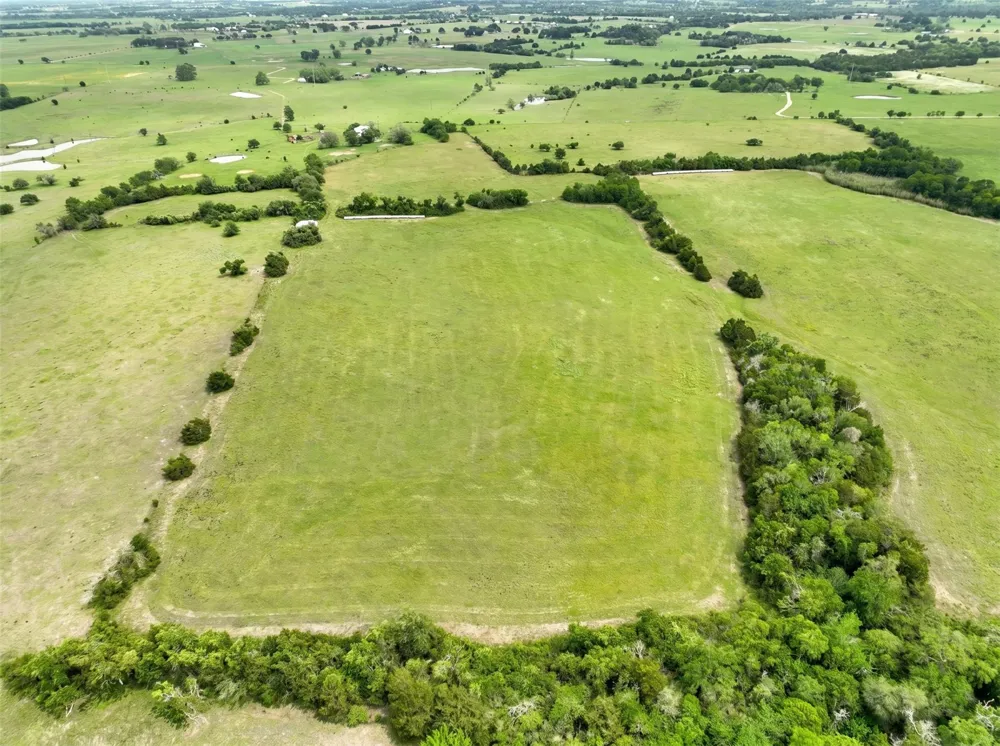 4425 Franke Road New Ulm, TX 78950