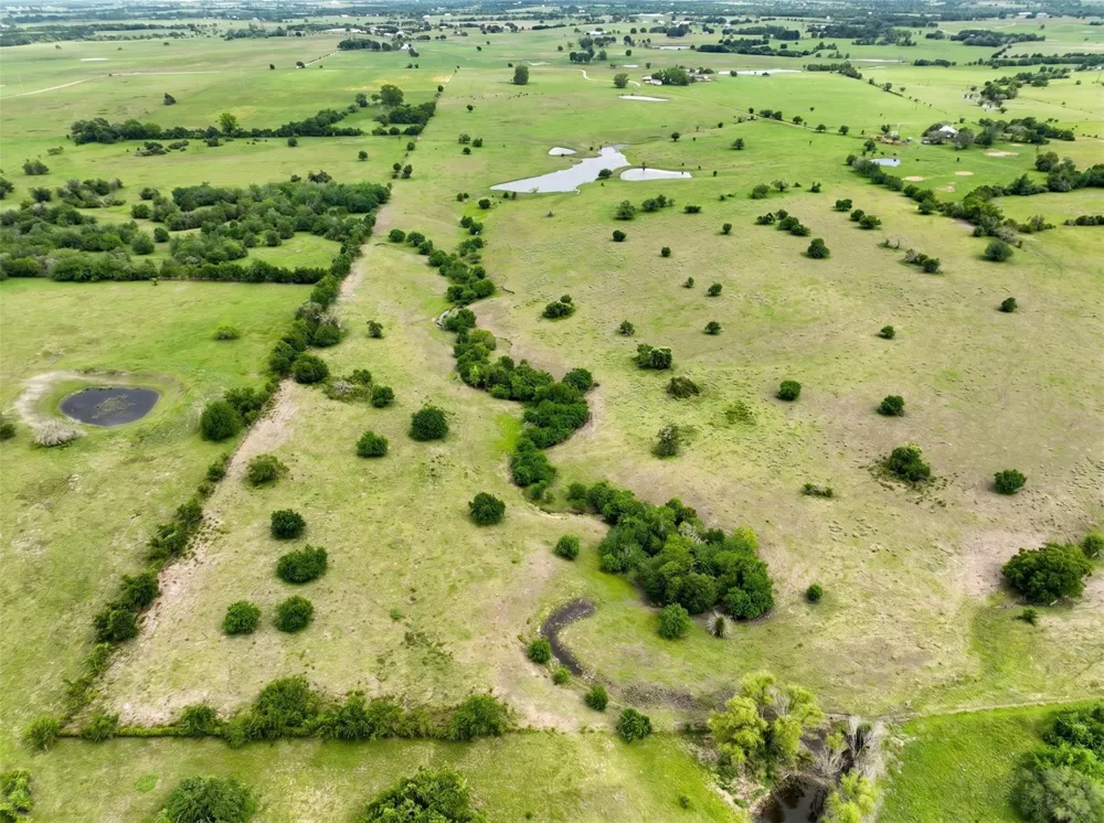4425 Franke Road New Ulm, TX 78950